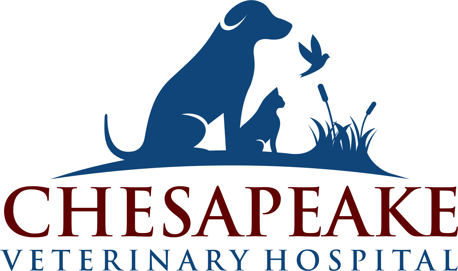 Chesapeake Veterinary Hospital